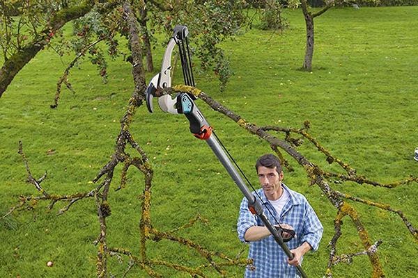 Các loại kéo cắt cành trên cao trên thị trường hiện nay